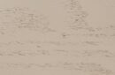 Oak Harbor Mist Sheer Oak Peppercorn